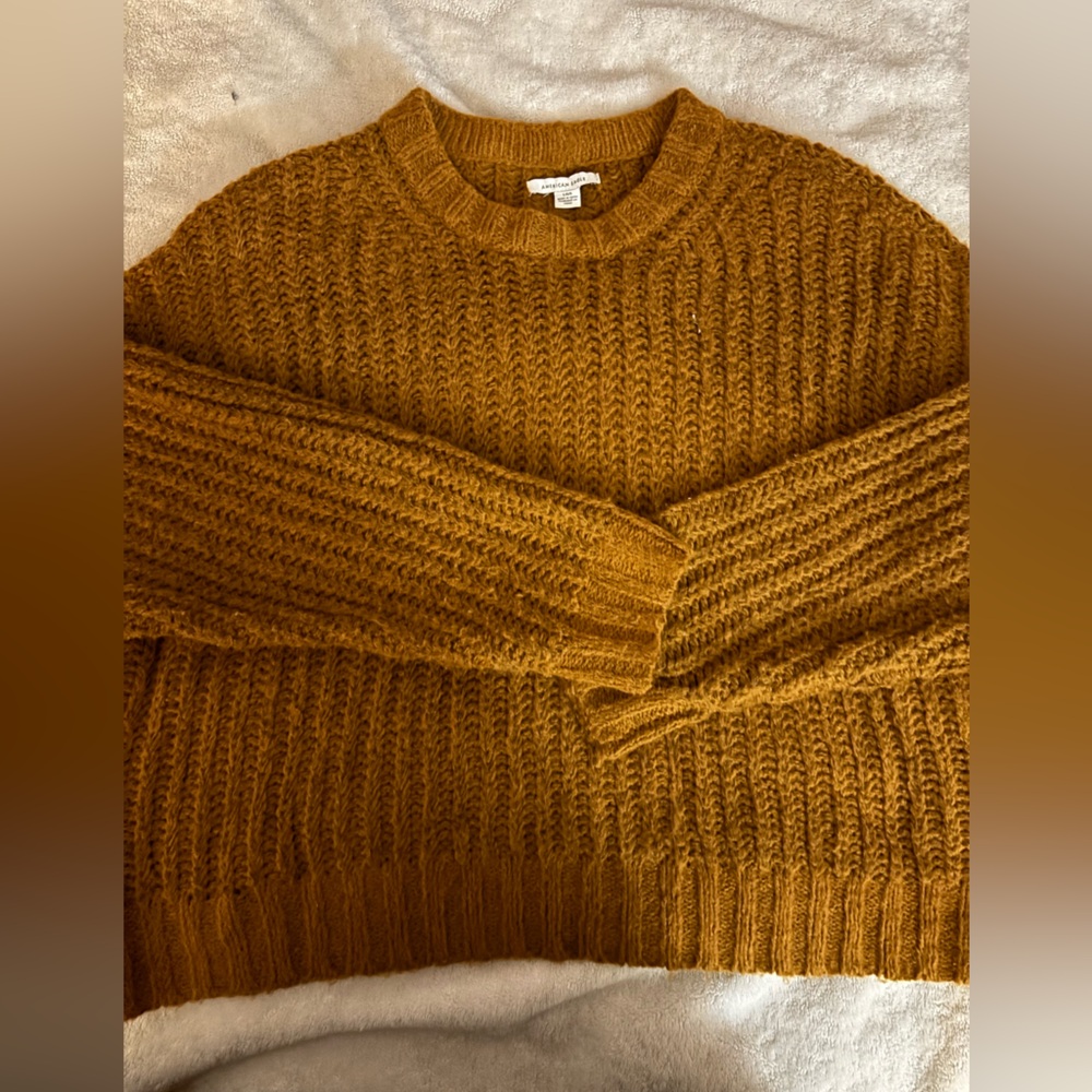 Dark Mustard Cropped Sweater AE